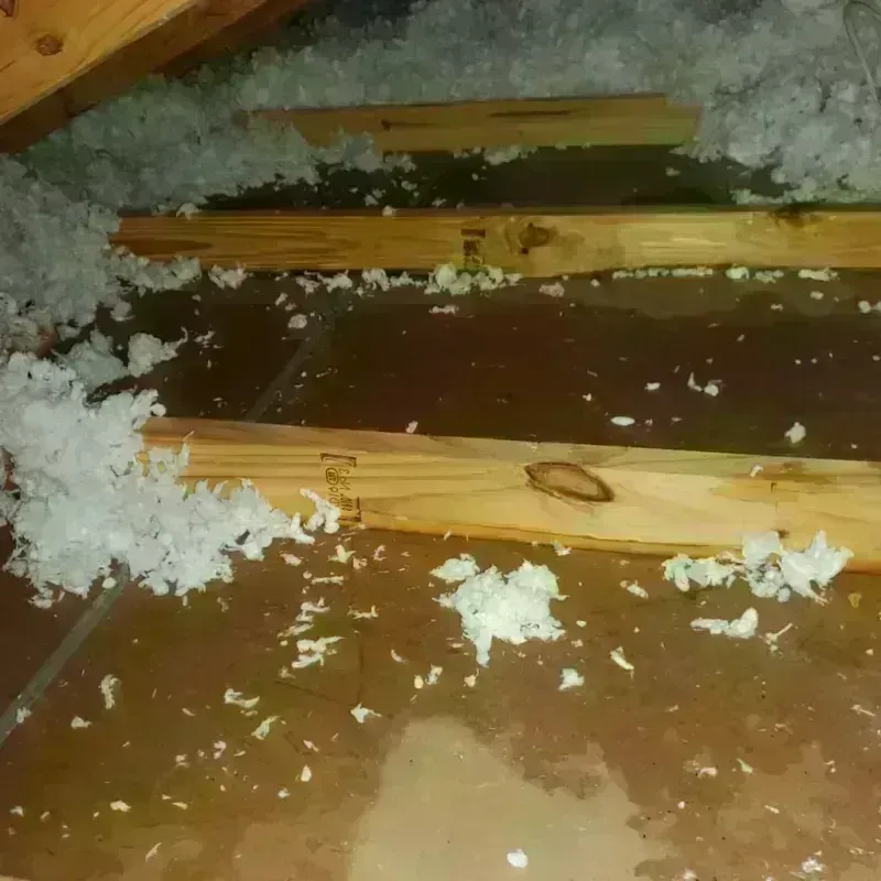 Attic Water Damage in Hale County, TX