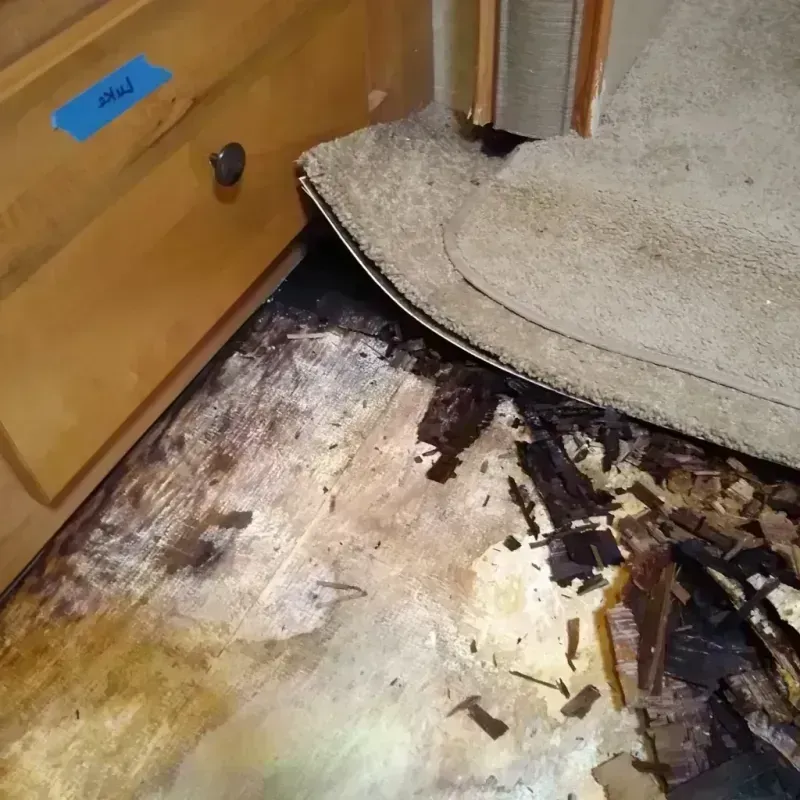 Best Wood Floor Water Damage Service in Hale County, TX